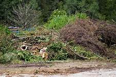 Henting hageavfall 2019